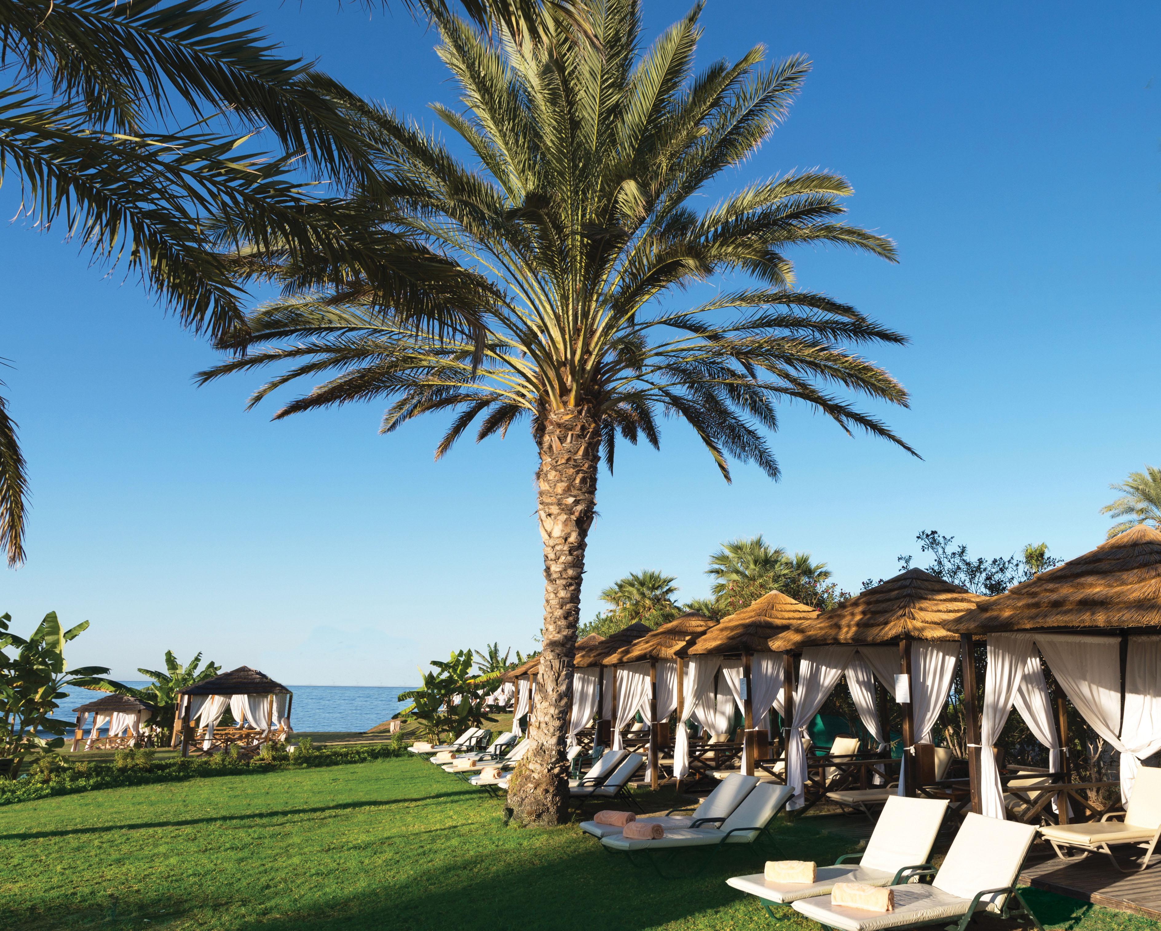 Constantinou Bros Athena Royal Beach Hotel (Adults Only) Paphos Fasiliteter bilde